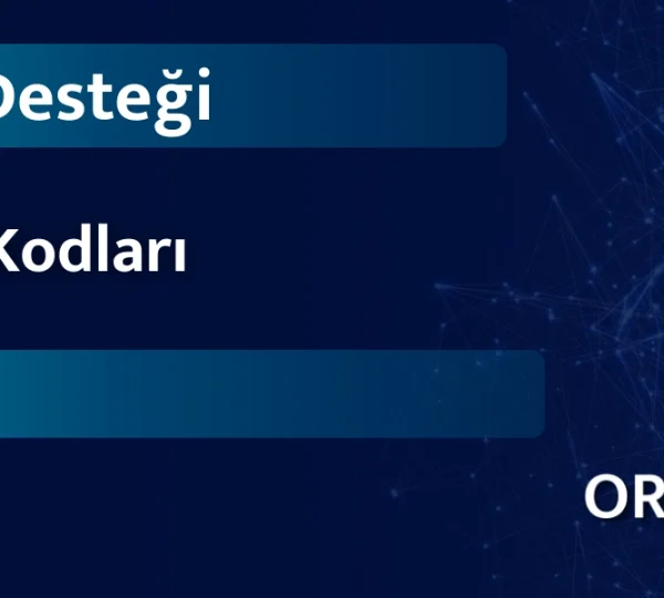 Hibe Desteği NACE Kodları Rehberi